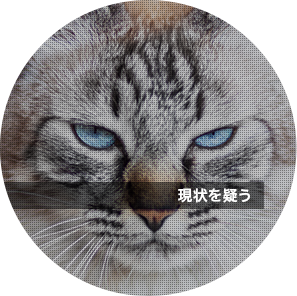 ci06